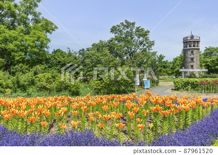 札幌由里原公園 87961520