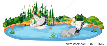 Scene with two pelican birds 87961667