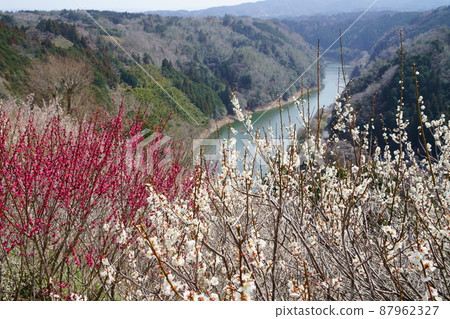 Superb view of Tsukigase Umebayashi / Observatory 87962327