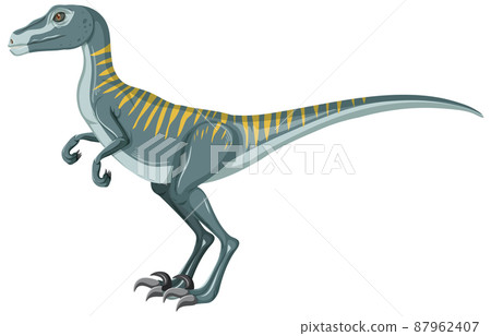 Velociraptor dinosaur on white background 87962407