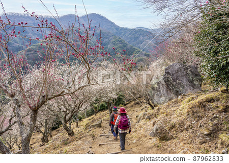 湯河原Bairin Makuyama公園 87962833