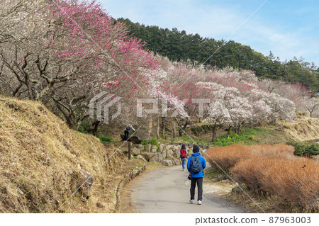 Yugawara Bairin Makuyama Park 87963003