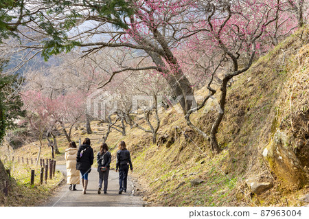 湯河原Bairin Makuyama公園 湯河原Bairin Makuyama公園 87963004