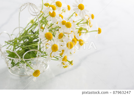 籃子裡的白花 籃子裡的白花 87963247