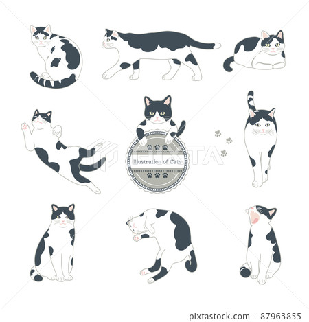 黑白貓插圖集 黑白貓插圖集 87963855