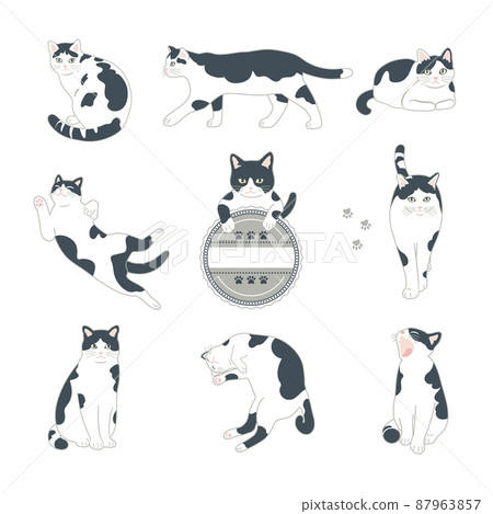 黑白貓插圖集 87963857