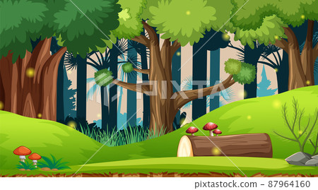 Nature outdoor forest background 87964160