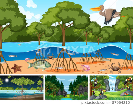 Scene with wild animals in the forest Scene with wild animals in the forest 87964210