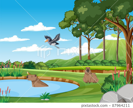 Scene with wild animals in the forest Scene with wild animals in the forest 87964211