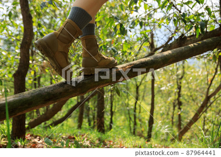 Hiker walking on a fallen tree trunk in forest 87964441