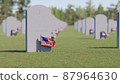 Veterans Cemetery, Memorial Day, National Holiday, 3D rendering 87964630