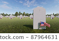 Veterans Cemetery, Memorial Day, National Holiday, 3D rendering 87964631