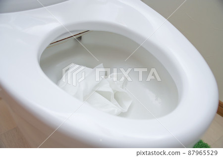 Western style toilet bowl and toilet paper 87965529