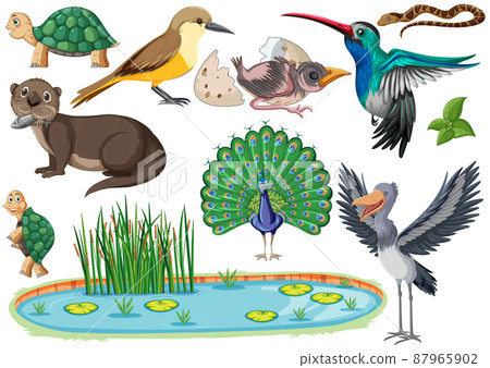 Different kinds of wild animals collection 87965902