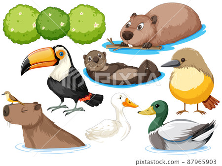 Different kinds of wild animals collection Different kinds of wild animals collection 87965903