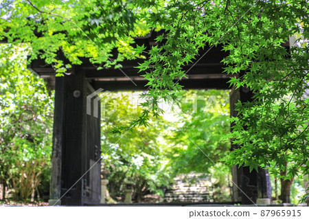 Akizuki Castle Ruins / Kuromon in Summer 87965915