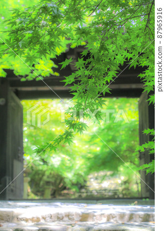 Akizuki Castle Ruins / Kuromon in Summer 87965916