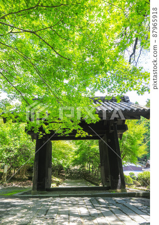 秋月城跡 / 夏天的黑門 87965918
