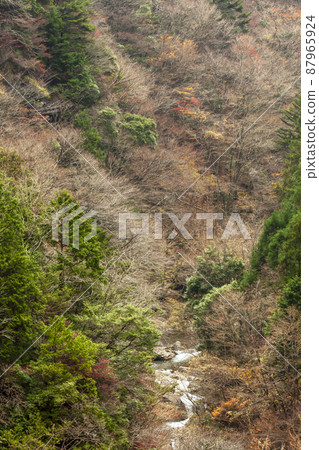 Mitarai Valley Mt. Misen Trail Late Autumn Scenery-4 Mitarai Valley Mt. Misen Trail Late Autumn Scenery-4 87965924