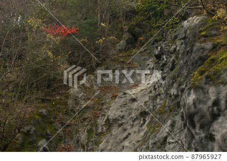 Mitarai Valley Mt. Misen Trail Late Autumn Scenery-7 Mitarai Valley Mt. Misen Trail Late Autumn Scenery-7 87965927