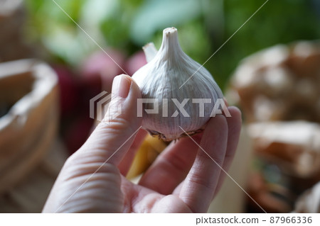 天然有機蔬菜，馬爾凱市場 87966336