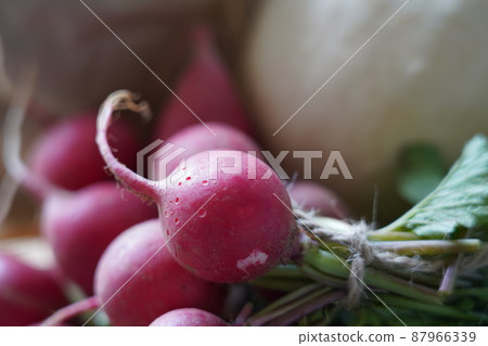 Natural organic vegetables, Marche Market Natural organic vegetables, Marche Market 87966339