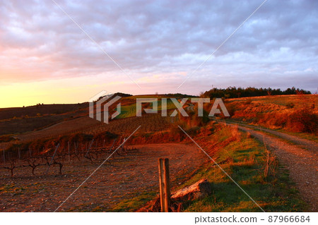 Morning glow road Torres del Rio, Camino (pilgrimage to Santiago) 87966684