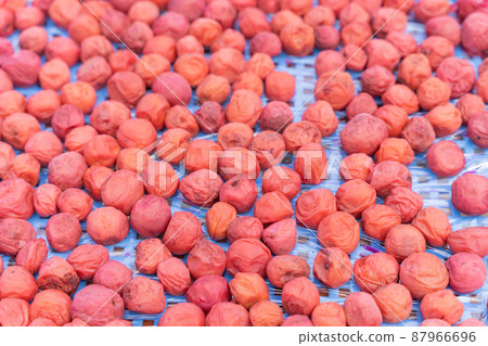 咸梅 咸梅 87966696