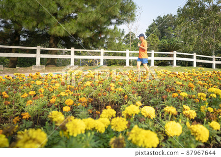 Man runner jogging in a park with yellow flowers. 87967644
