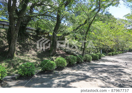 Summer autumn moon 87967737