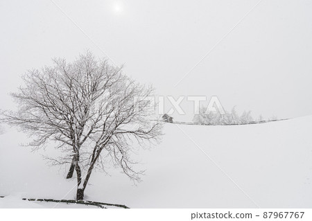 羊場雪景 87967767
