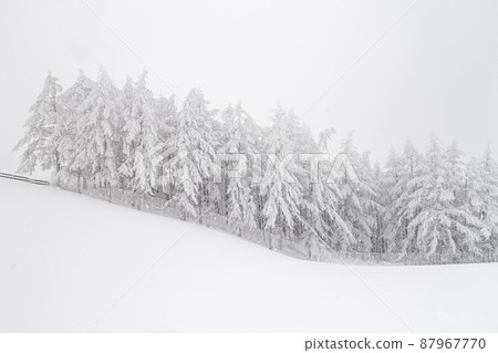 Sheep Farm Snow Scene Sheep Farm Snow Scene 87967770