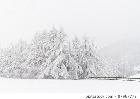 羊場雪景 87967772