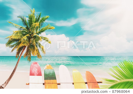 Surfboard and palm tree with blue sky on beach background. Travel adventure sport and summer vacation concept. Surfboard and palm tree with blue sky on beach background. Travel adventure sport and summer vacation concept. 87968064