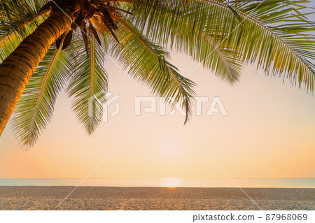 Palm tree at tropical beach on sunset sky abstract background. Summer vacation and nature travel adventure concept. Palm tree at tropical beach on sunset sky abstract background. Summer vacation and nature travel adventure concept. 87968069