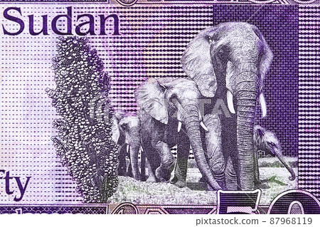 Elephants from South Sudanese pound Elephants from South Sudanese pound 87968119