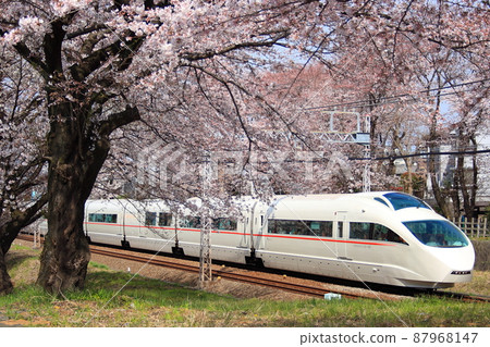 Odakyu Romance Car VSE_2009 / 4/4 shooting running through the tunnel of cherry blossoms in full bloom 87968147