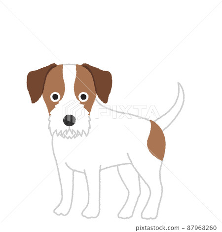 帕森羅素梗犬圖 帕森羅素梗犬圖 87968260