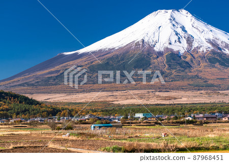 《Yamanashi Prefecture》 Autumn scenery of Mt. Fuji and Oshino Village 87968451
