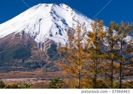 《山梨縣》富士山和忍野村的秋景 87968463