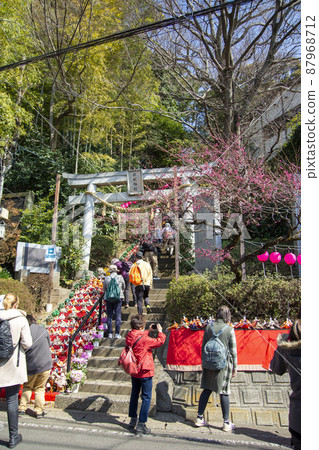Hinamatsuri scenery of Zama Shrine 87968712