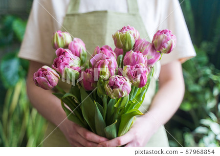 Bouquet of fresh bright flowers in the hands of a florist in an apron, close-up. A female entrepreneur works to order in a flower shop Bouquet of fresh bright flowers in the hands of a florist in an apron, close-up. A female entrepreneur works to order in a flower shop 87968854
