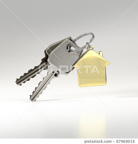 Keys with a house pendant. 87969018