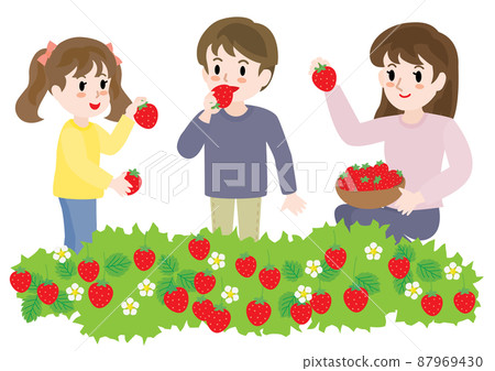採草莓的家庭 87969430