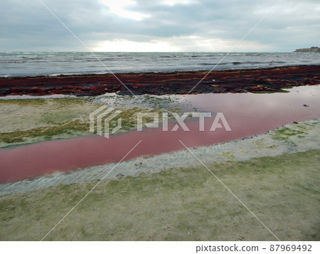 Purple ice on the shore. 87969492