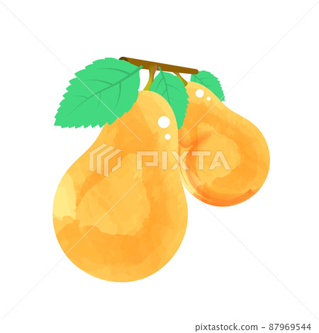 pear pear 87969544