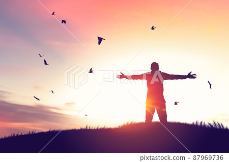 Man rising hands and birds flying on sunset sky at nature field abstract background. Freedom feel good and travel adventure concept. Man rising hands and birds flying on sunset sky at nature field abstract background. Freedom feel good and travel adventure concept. 87969736