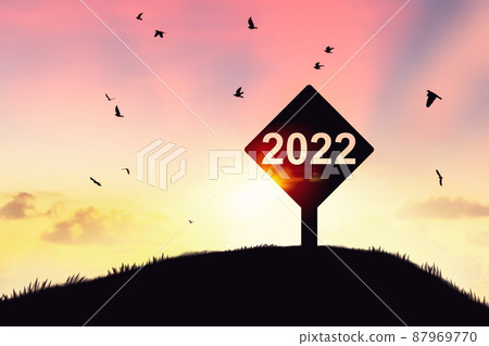 2022 sign at top of grass mountain with birds flying on sunset sky abstract background. Happy new year and freedom concept. 2022 sign at top of grass mountain with birds flying on sunset sky abstract background. Happy new year and freedom concept. 87969770