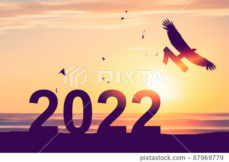 2022 new year concept with eagle bird flying away and holding number 1 on sunset sky background at tropical beach.  87969779