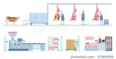 Beef product manufacture process infographic from farm cow to market. Meat food production and distribution. Sausage factory line vector set 87969899